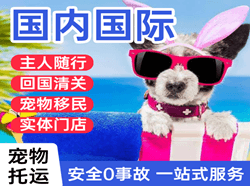 天河机场托运国际宠物托运 【国